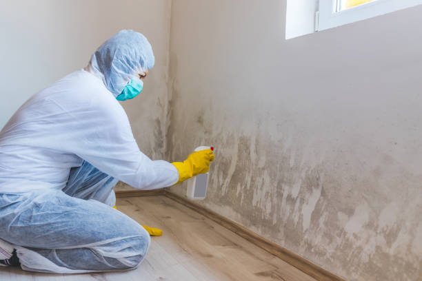 Hvac And Air Duct Mold Remediation inspection of HVAC system in Spicewood